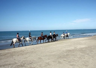  Reiten am Meer im Gard 